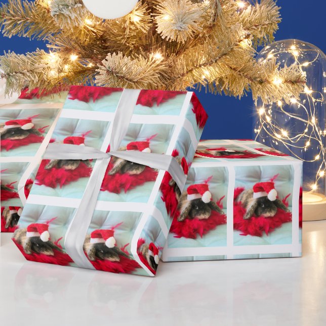 Papper för att stänga av jullägget i Nederländerna Presentpapper (Helgdagar)