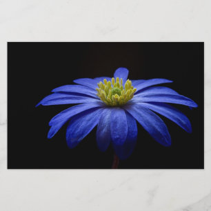 Papper för blå Daisy Gerbera Flower Scrapbook