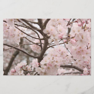 Papper för Cherry Blommar Craft
