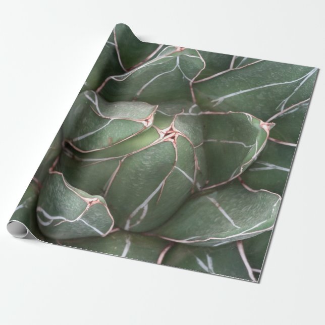 Papper för inkapsling av grönt Succulnet Plant Mat Presentpapper (Utrullad)
