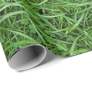 Papper för inslagning av Grönt Presentpapper