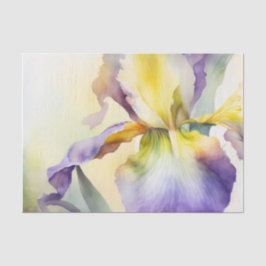 PAPPER för IRIS-avskärmning