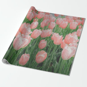 Papper för ljus rosa svällning presentpapper