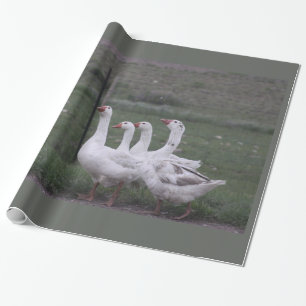 Papper för omslagning av anka presentpapper