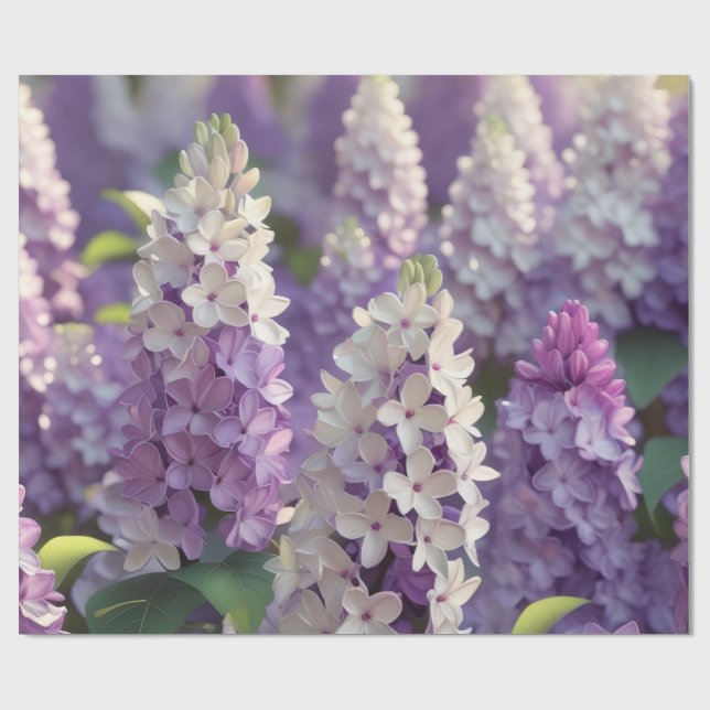 Papper för omslagning av lila blomma presentpapper (Platt)