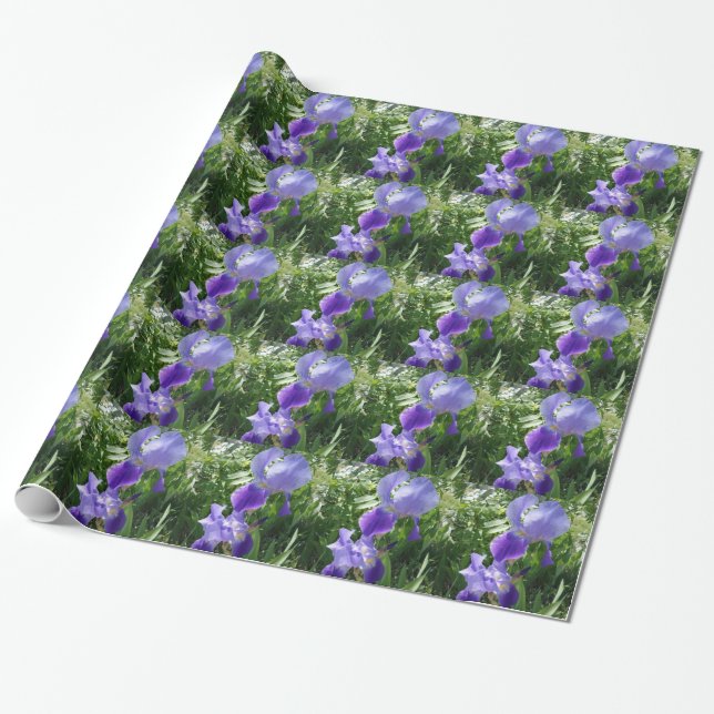 Papper för omslagning av lila blomma presentpapper (Utrullad)