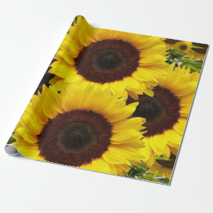 Papper för omslagning av solrosmatte presentpapper