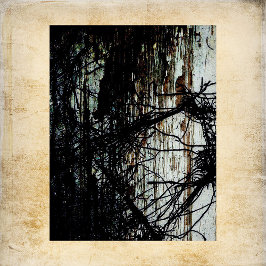 Papper för övergiven Mansion-skrapbok