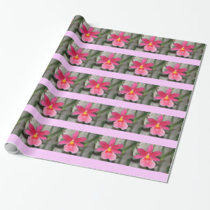 Papper för rosa Orchid Wrapping Presentpapper