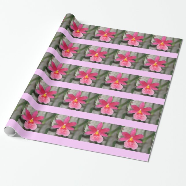 Papper för rosa Orchid Wrapping Presentpapper (Utrullad)