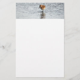 Papper för Sandpiper Bird Photo Stationery