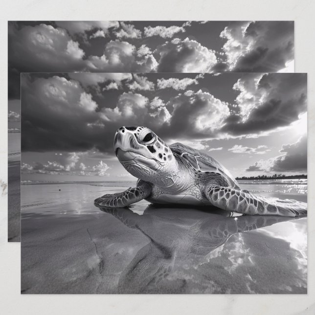 Papper för Sea Turtle Black and White Scrapbook (Fram/baksida)