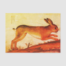 Papper för silkespapper 10lb för KANINKANIN