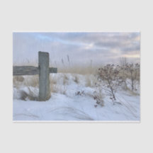 Papper för skräppost för segment-presentationer