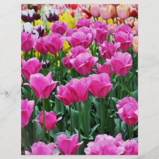 Papper för Tulip Garden-skrapbok