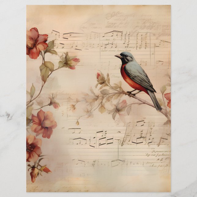Papper för Victorian Musik noter & Bird Scrapbook (Framsida)