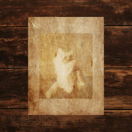 Papper för vintage Kattskrapbok