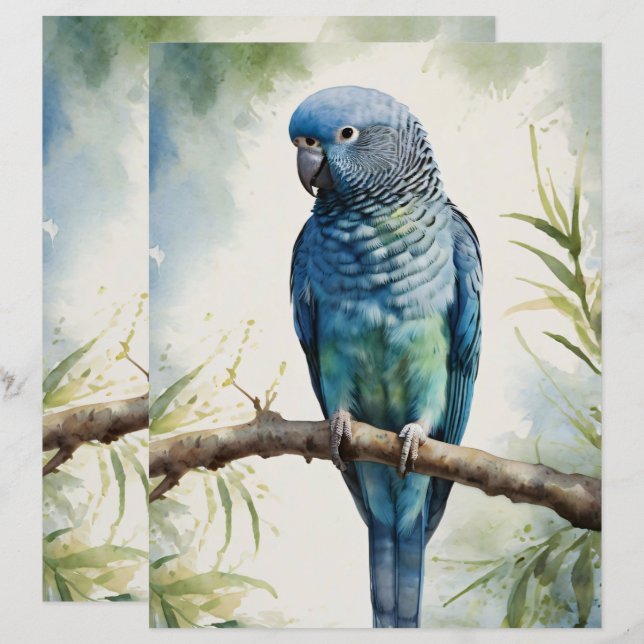 Papper för Watercolor Parakeet Eucalyptus Scrapboo (Fram/baksida)