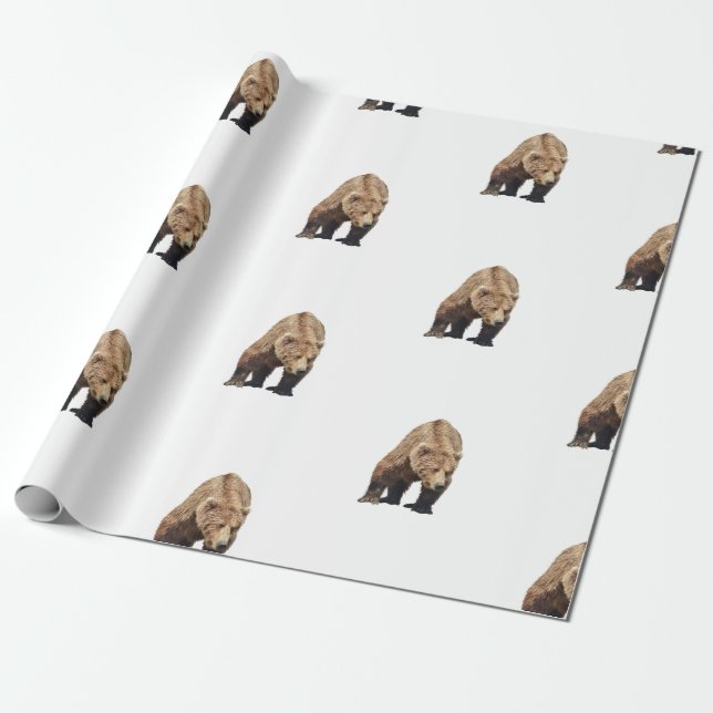 papper förpackning av grizzly-björn presentpapper (Utrullad)