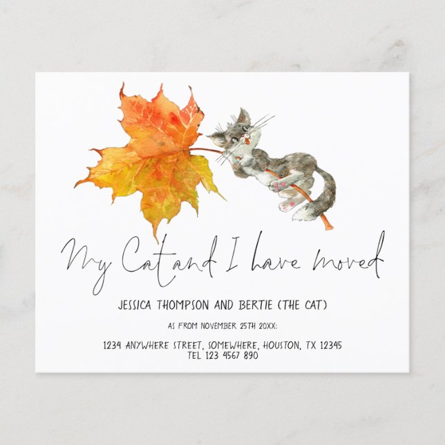 PAPPER | Funny Min katt jag har Flyttat nytt hem Flygblad (Framsidan)