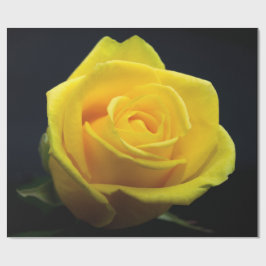 Papper inslagning av alla hjärtans dag i gul ros presentpapper