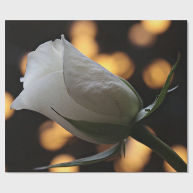 Papper inslagning av alla hjärtans dag i vit ros presentpapper (Platt)