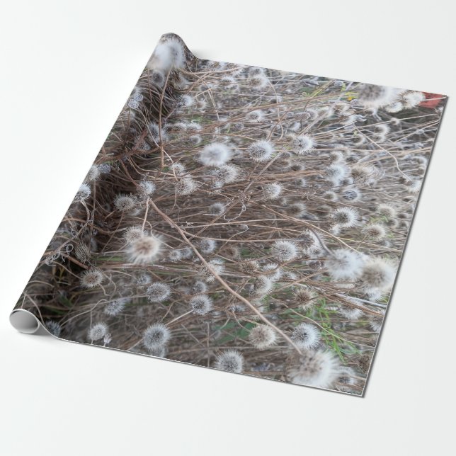 papper inslagning av blomman mönster presentpapper (Utrullad)