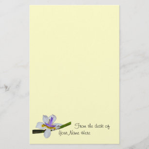 Papper - Iris - Forthnight Lilly