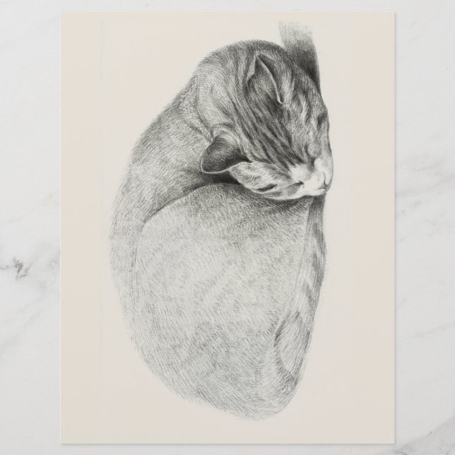 PAPPER: JEAN BERNARD : SLEEPATE CAT (Framsida)