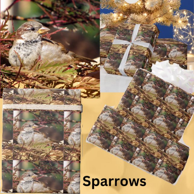 Papper Jul Sparrow Wrapping Presentpapper (Skapare uppladdad)