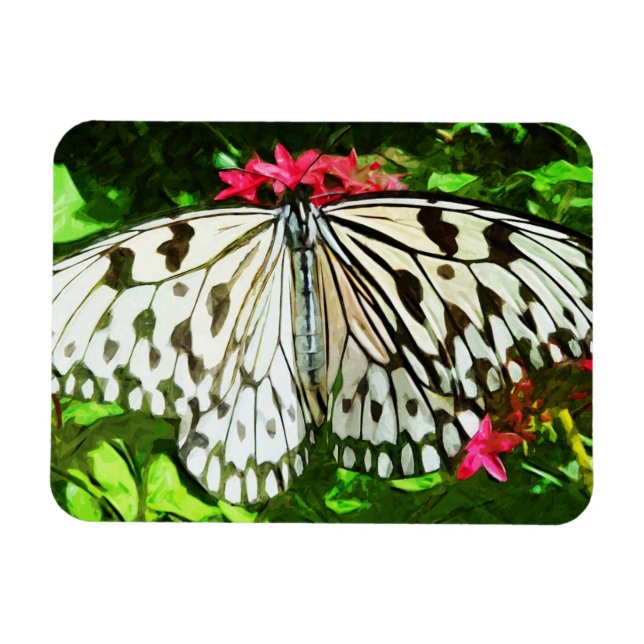 Papper Kite Butterfly Abstrakt Impressionism Magnet (Horisontell)