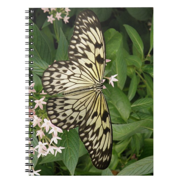 Papper Kite Butterfly-bärbar dator Anteckningsbok Med Spiral (Framsidan)