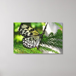 Papper Kite Butterfly Canvastryck