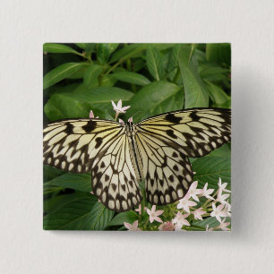 Papper Kite Butterfly-knapp Knapp