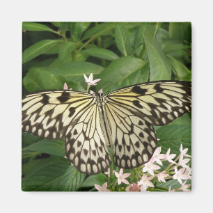 Papper Kite Butterfly Magnet