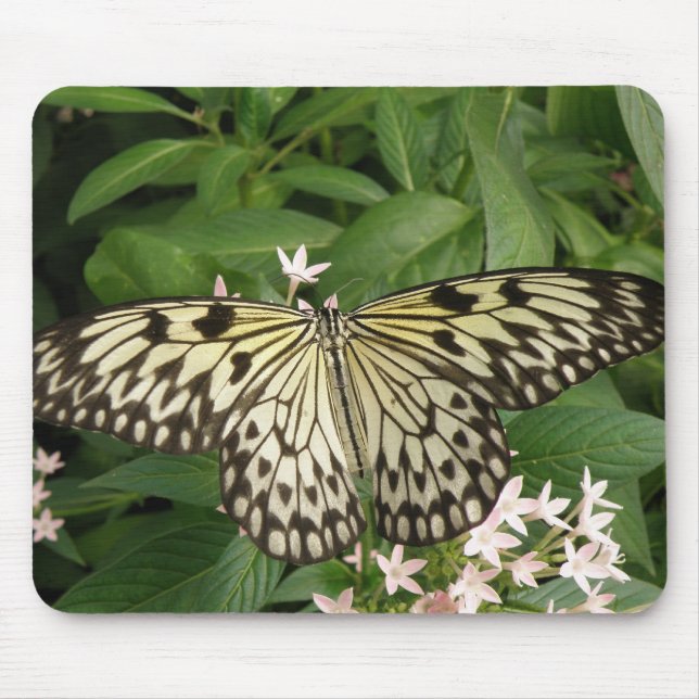 Papper Kite Butterfly Mousepad Musmatta (Framsidan)