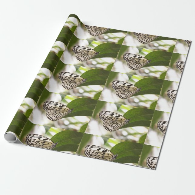 Papper Kite Butterfly Presentpapper (Utrullad)