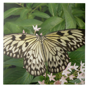 Papper Kite Butterfly Tile Kakelplatta