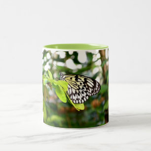 Papper Kite butterfly Två-Tonad Mugg