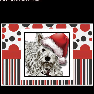 Papper _ Koji Santa Presentpapper