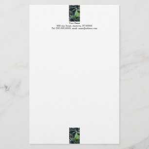 Papper med skulpturala blad