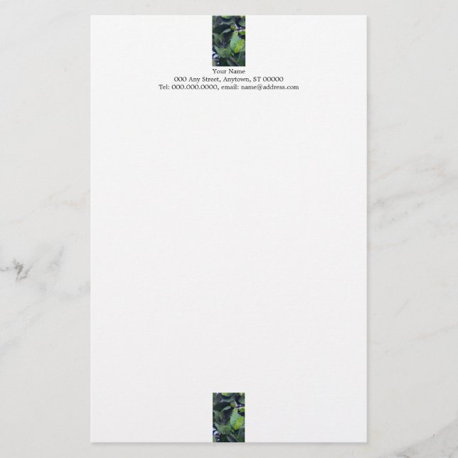 Papper med skulpturala blad (Framsida)