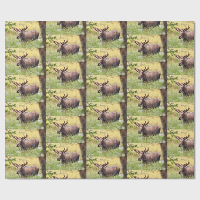 papper mössomslagning presentpapper (Platt)