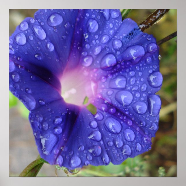 Papper och konst poster (Framsidan)