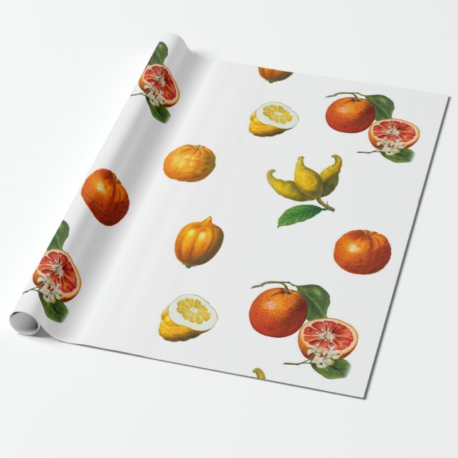 Papper omslagning av citrusfrukter i vintage presentpapper (Utrullad)