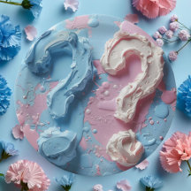 Papper Plate Gender Reveal Party Boy eller Girl