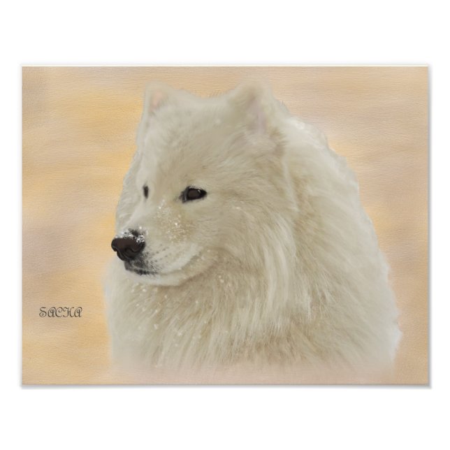 Papper Porträtt-Kodakkvalitet 14X11 Fototryck (Framsidan)