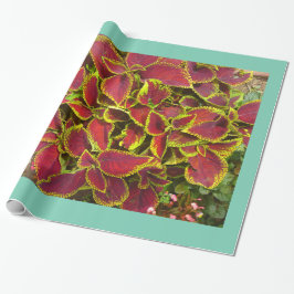 Papper radbrytning av Coleus Flower Patch Presentpapper
