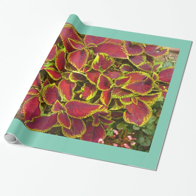 Papper radbrytning av Coleus Flower Patch Presentpapper (Utrullad)