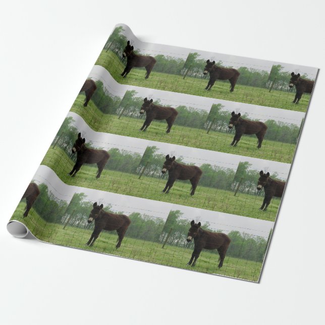 Papper radbrytning av Donkey Presentpapper (Utrullad)